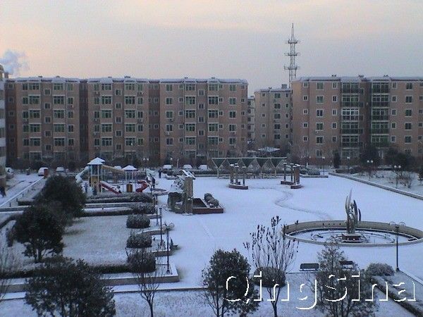 2005年入冬的第一场雪