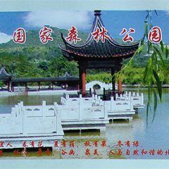 rp_bj0221.jpg