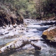 香格里拉大峡谷 22