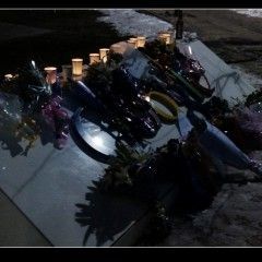 20100113google