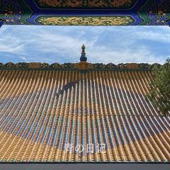 IMG_2867