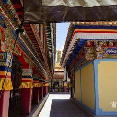 世界藏学府——夏河拉卜楞寺 _QSC9786