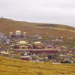 为什么有的寺庙殿堂内不让拍照 _NSC5492