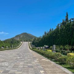 IMG_0690