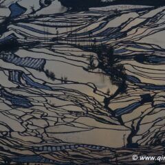 元阳哈尼梯田 DSC00402