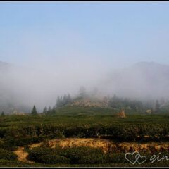 dsc02696