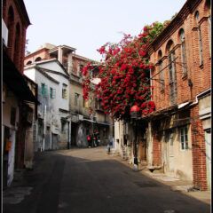 dsc03397