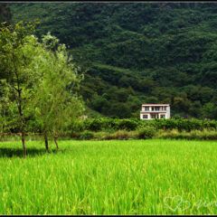 dsc06027