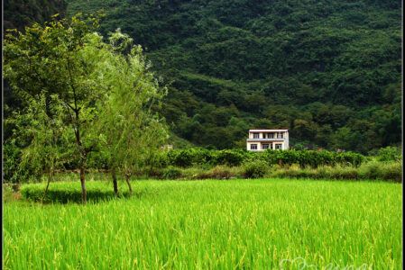 桂林游记（五）——遇龙河