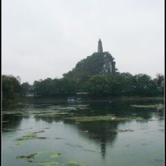 dsc06314