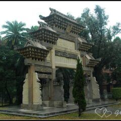美丽的中山大学 dsc7684