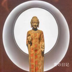 2023年拍照小结 202308