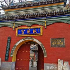 IMG_20240208_171431