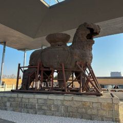 IMG_1368