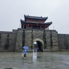 IDG_20260711_083044_205